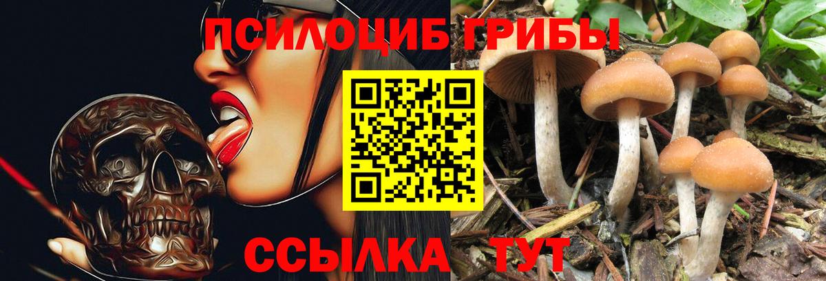 Ефремов  Псилоцибиновые грибы мухоморы  Псилоцибиновые грибы Cubensis  Вход с VPN 